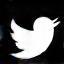 X (formerly Twitter) icon